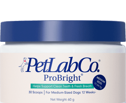 Probright Advanced Product Image