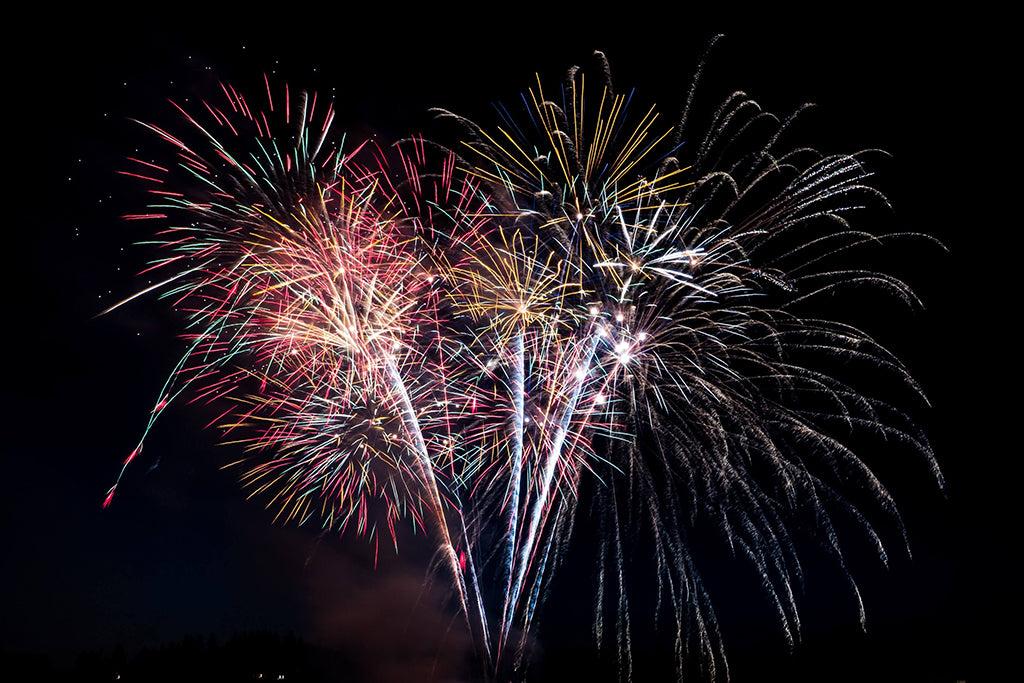 Dogs And Fireworks: How To Help Your Dog This Bonfire Night!