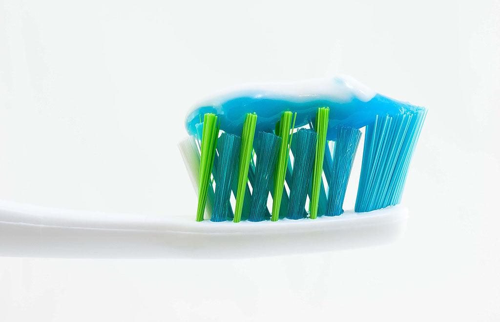 Can Dogs Have Human Toothpaste?