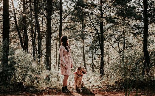 How To Get Sap Out Of Dog Fur